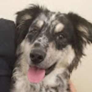 Meet your Posher, Jim